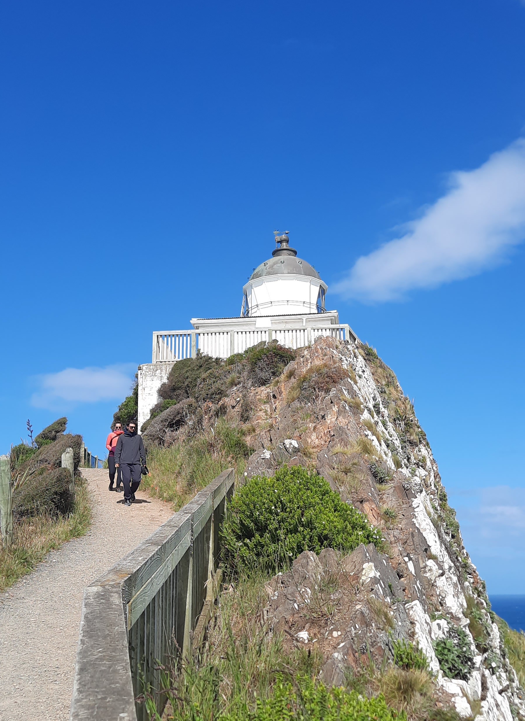 Nugget Point